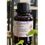 tetramethyl_orthoformate