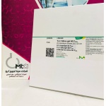 whatsapp_image_2022-07-26_at_3_05_10_pm