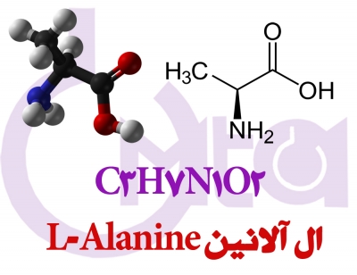 l-alanine