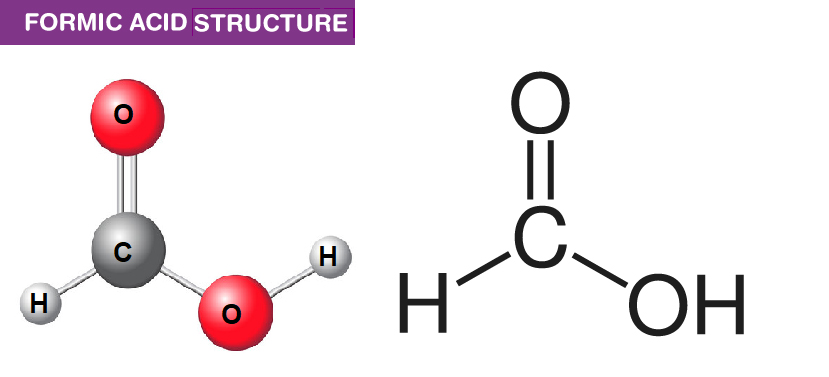 formic-acid