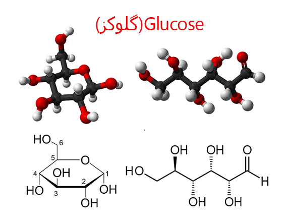 گلوکز ،خصوصیات و کاربردهای آن