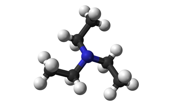 triethylamine